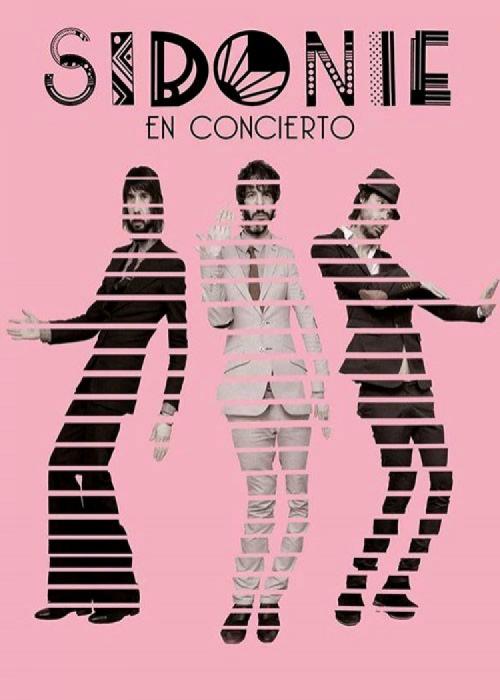 Cartel de Concierto de Sidonie en Pamplona