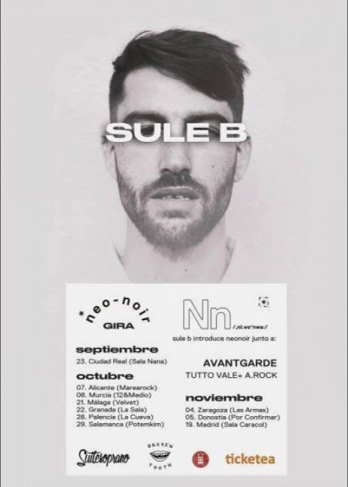 Cartel de Concierto de Sule B en Madrid