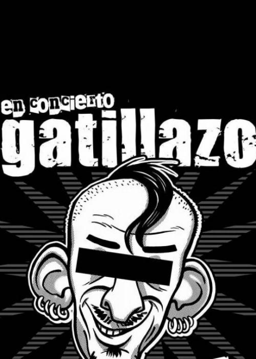 Cartel de Concierto de Gatillazo en Granada