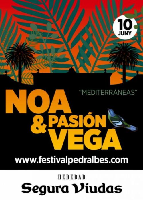 Cartel de Concierto de Noa & Pasión Vega en Barcelona