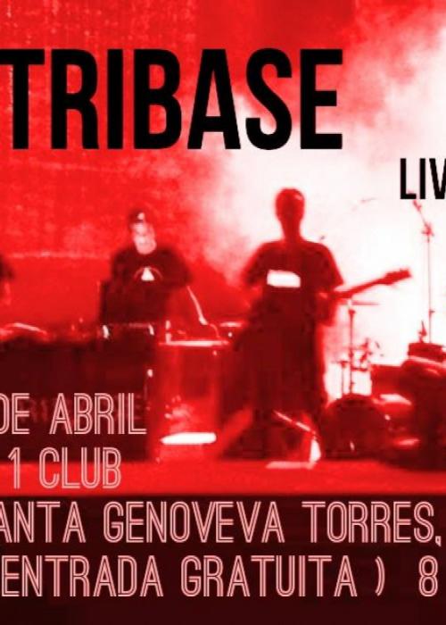Tribase