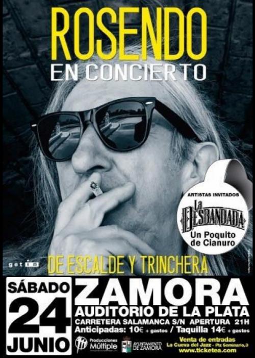Cartel de Concierto de Rosendo en Zamora