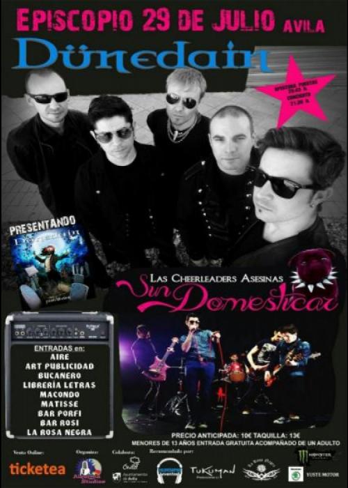 Cartel de Concierto de Dünedain en Ávila