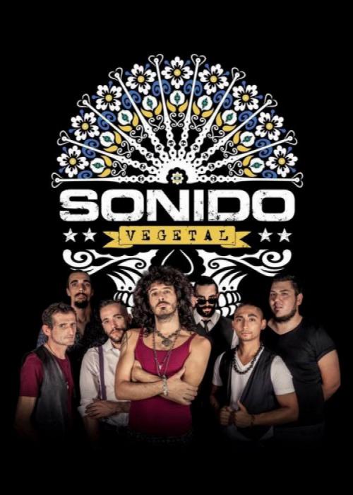 Cartel de Concierto de Sonido Vegetal en Granada