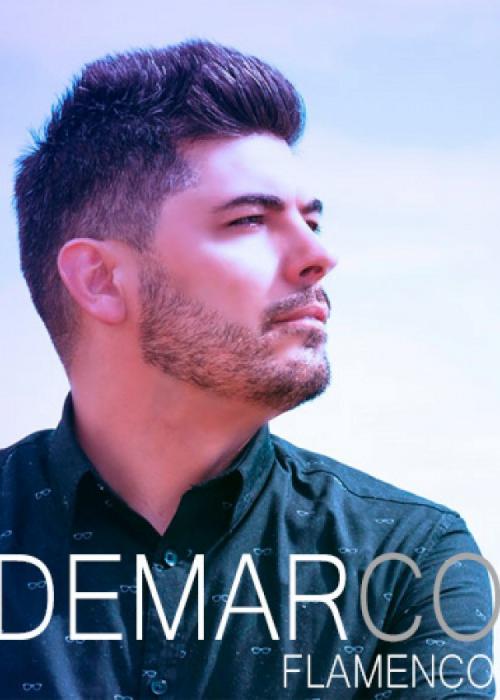 Cartel de Concierto de Demarco Flamenco en Zaragoza