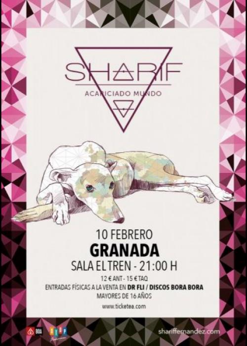 Cartel de Concierto de Sharif en Santander