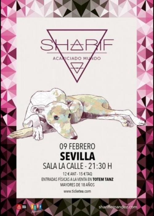 Cartel de Concierto de Sharif en Sevilla
