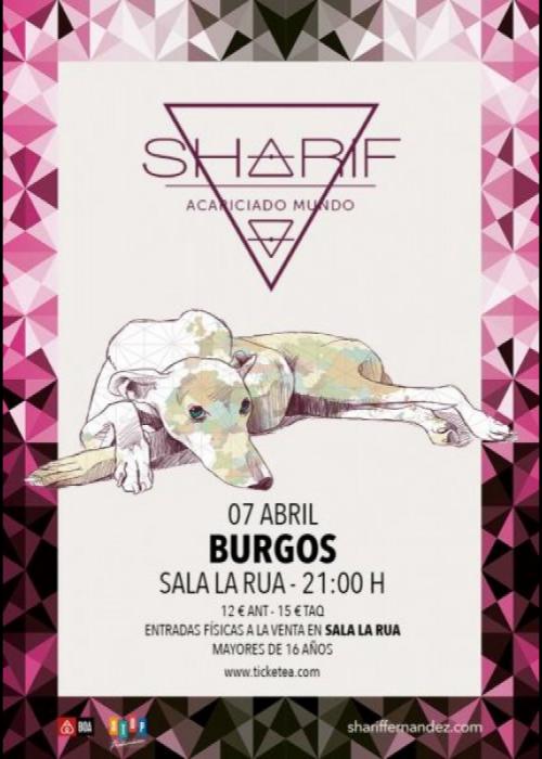 Cartel de Concierto de Sharif en Burgos