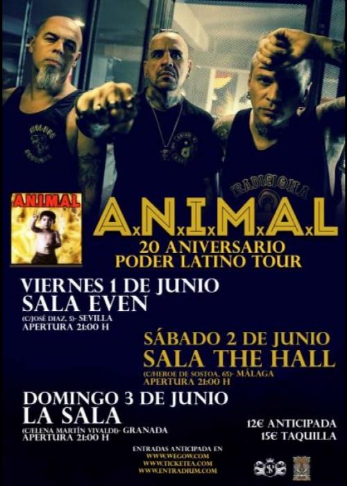 Cartel de Concierto de A.N.I.M.A.L. en Málaga