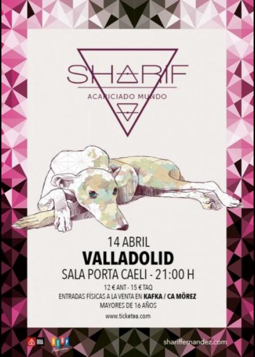 Cartel de Concierto de Sharif en Valladolid