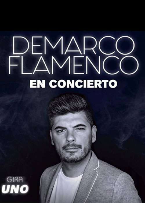 Cartel de Concierto de Demarco Flamenco en Albacete