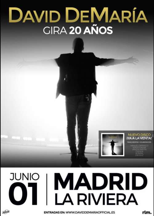 Cartel de Concierto de David DeMaría en Madrid