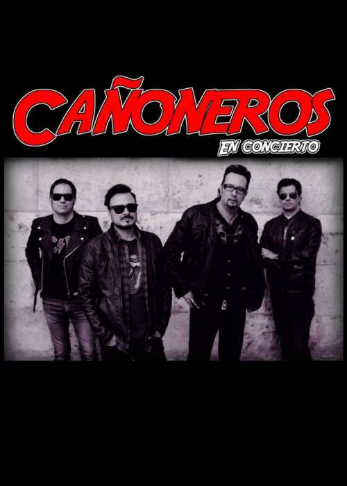 Cartel de Concierto de Cañoneros en Valladolid
