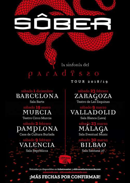 Cartel de Concierto de Sôber en Málaga