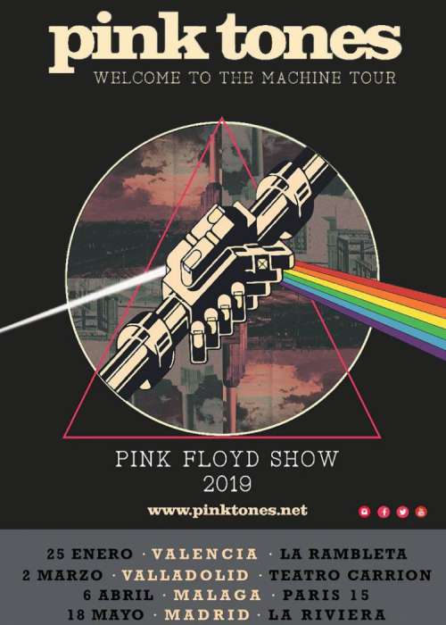 Cartel de Concierto de Pink Tones en Granada
