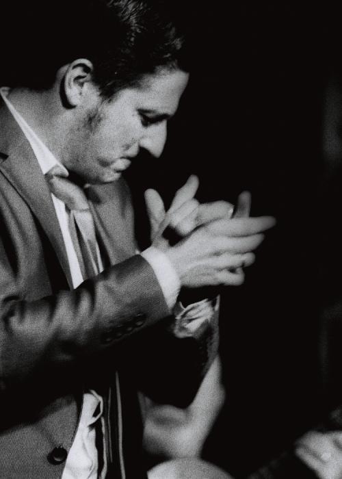 David Palomar
