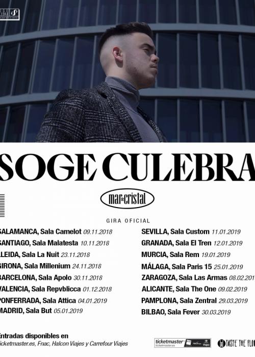 Cartel de Concierto de Soge Culebra en Granada
