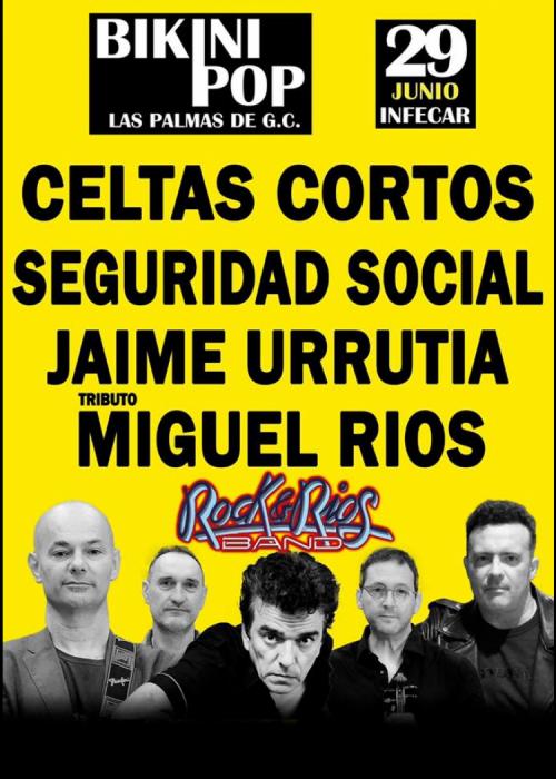 Cartel de Bikini Pop Festival 2019