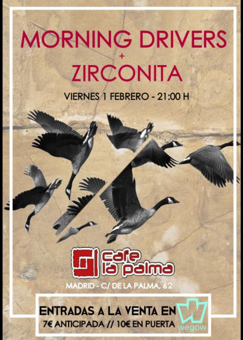 Zirconita