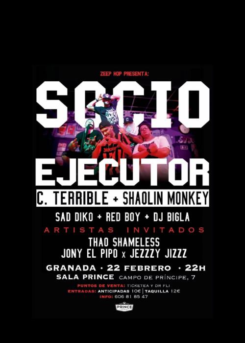 Socio Ejecutor