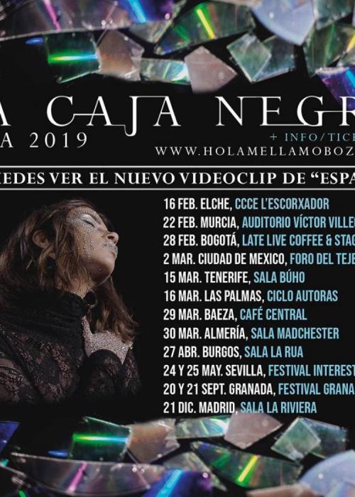 Cartel de Concierto de Carmen Boza en Almería