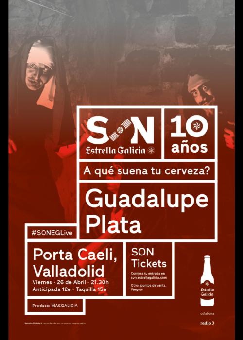 Cartel de Concierto de Guadalupe Plata en Valladolid