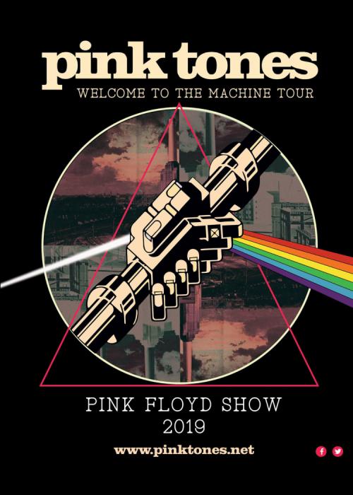 Cartel de Concierto de Pink Tones en Barcelona