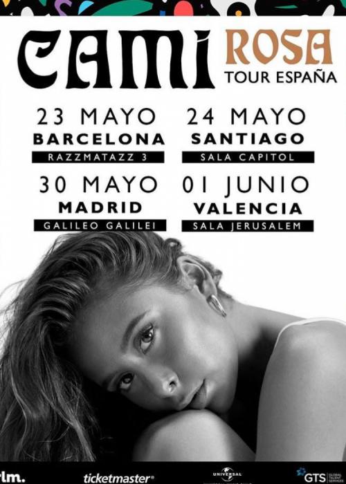 Cartel de Concierto de Cami en Valencia