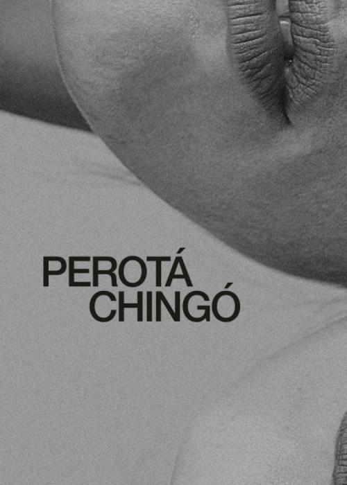 Cartel de Concierto de Perotá Chingó en Barcelona