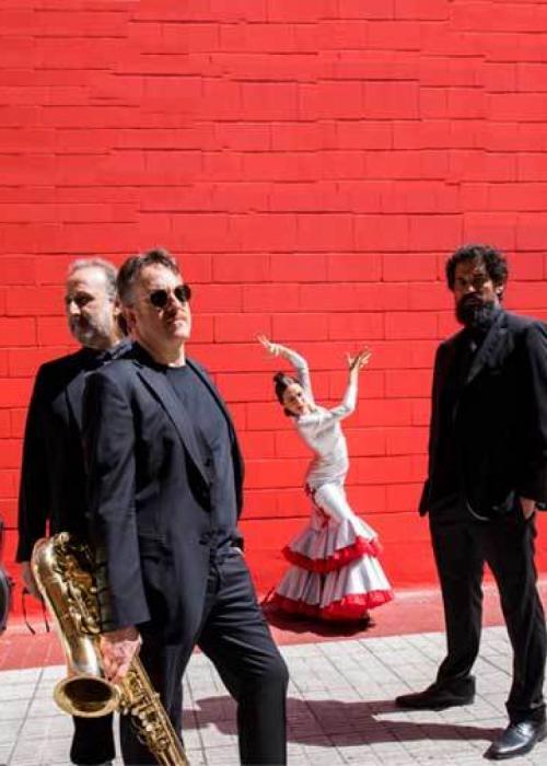 Camerata Flamenco Project