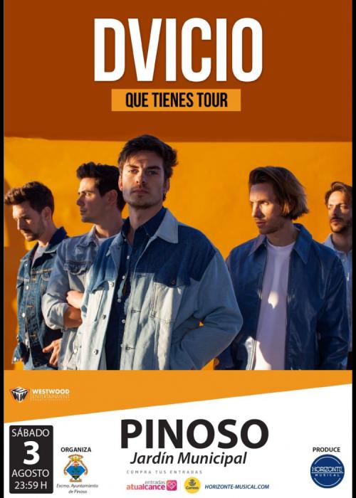Cartel de Concierto de Dvicio en El Pinoso