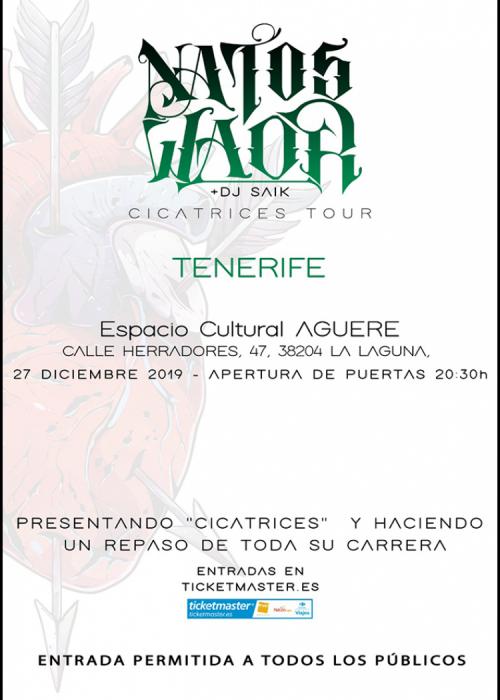 Cartel de Concierto de Natos y Waor en Tenerife