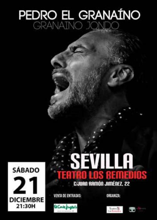 Cartel de Concierto de Pedro El Granaíno en Sevilla