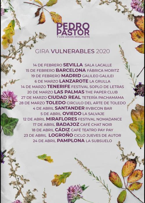 Cartel de Concierto de Pedro Pastor en Logroño