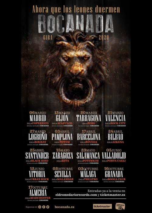 Cartel de Concierto de Bocanada en Pamplona