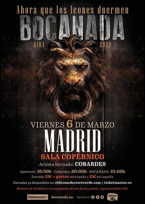 Cartel de Concierto de Bocanada en Madrid