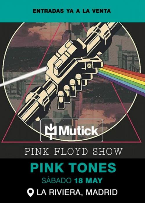 Cartel de Concierto de Pink Tones en Madrid