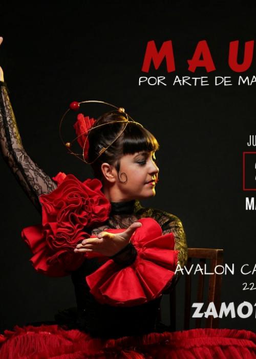 Cartel de Concierto de Maui en Zamora