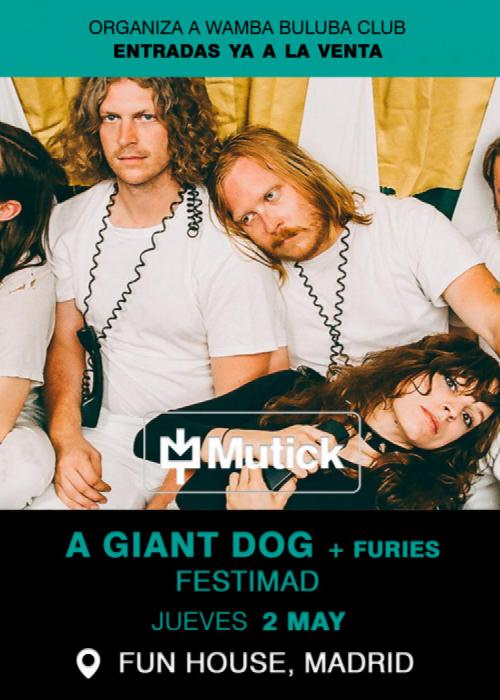 A GIANT DOG
