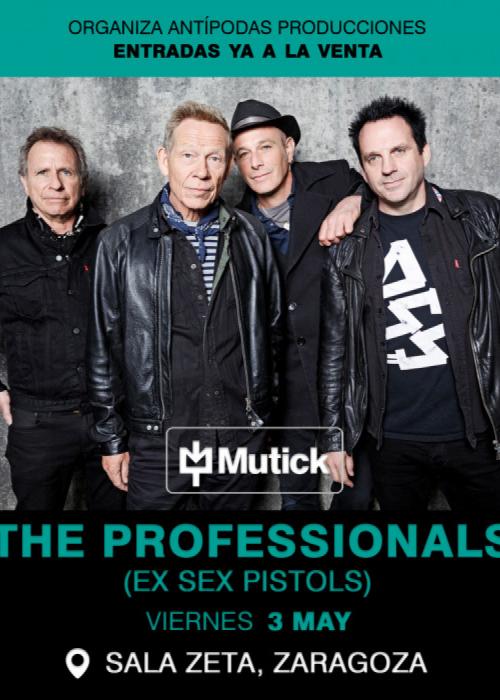 The Professionals