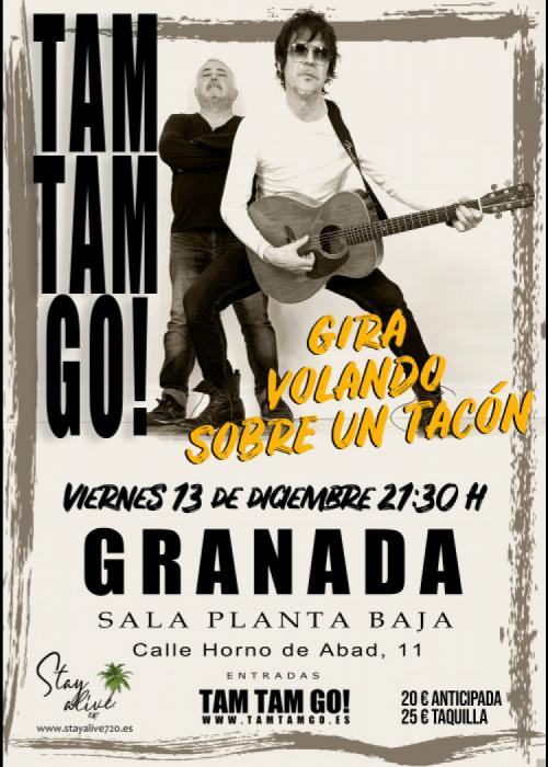 Cartel de Concierto de Tam Tam Go! en Granada