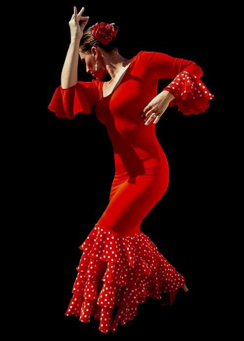 Flamenco sin Lunares