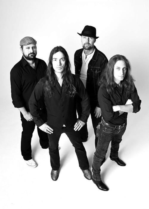 The Swergrooves 