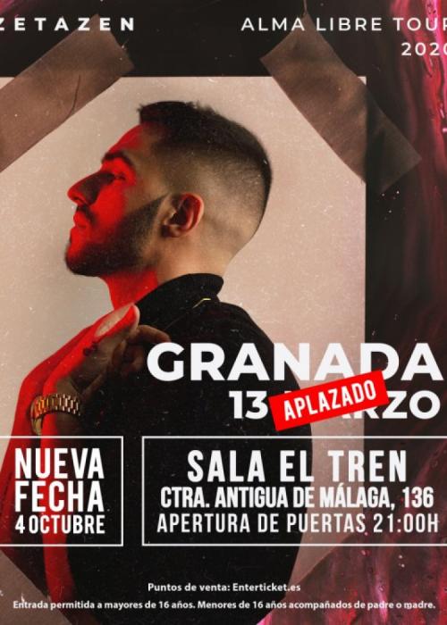 Cartel de Concierto de Zetazen en Granada