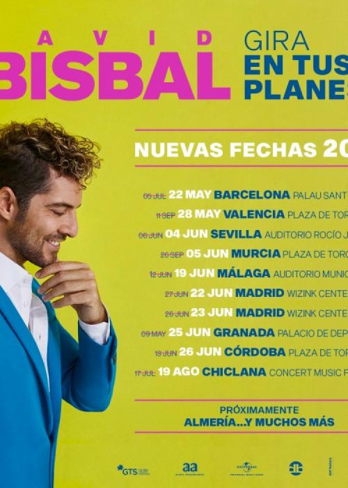 Cartel de Concierto de David Bisbal en Córdoba (Aplazado)