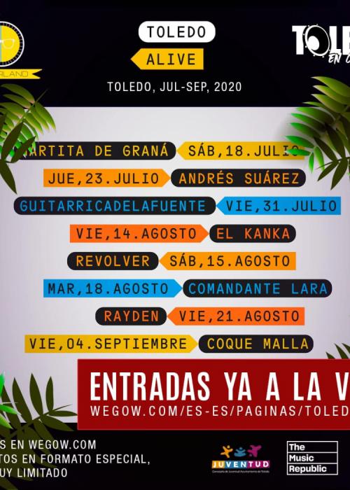 Cartel de Concierto de Coque Malla en Toledo