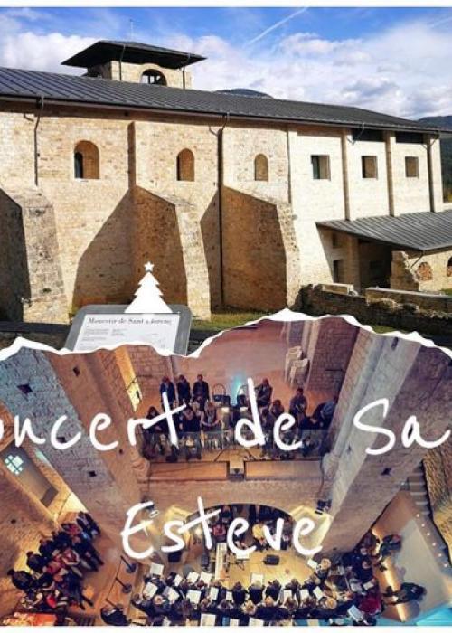 Cartel de Concierto de Sant Esteve amb Sant Boi Camerata Orquestra de Cambra A4 Cordes