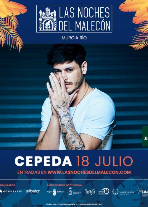 Cartel de Concierto de Cepeda en Murcia