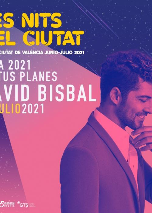 Cartel de Concierto de David Bisbal en Valencia