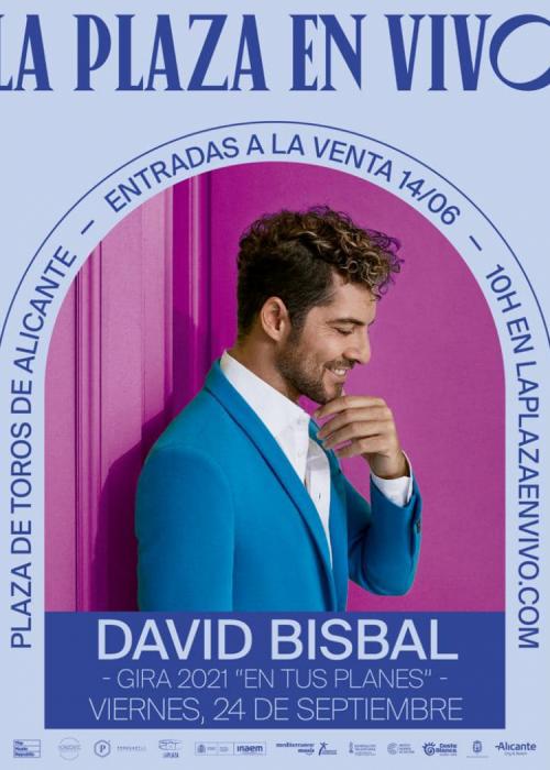 Cartel de Concierto de David Bisbal en Alicante